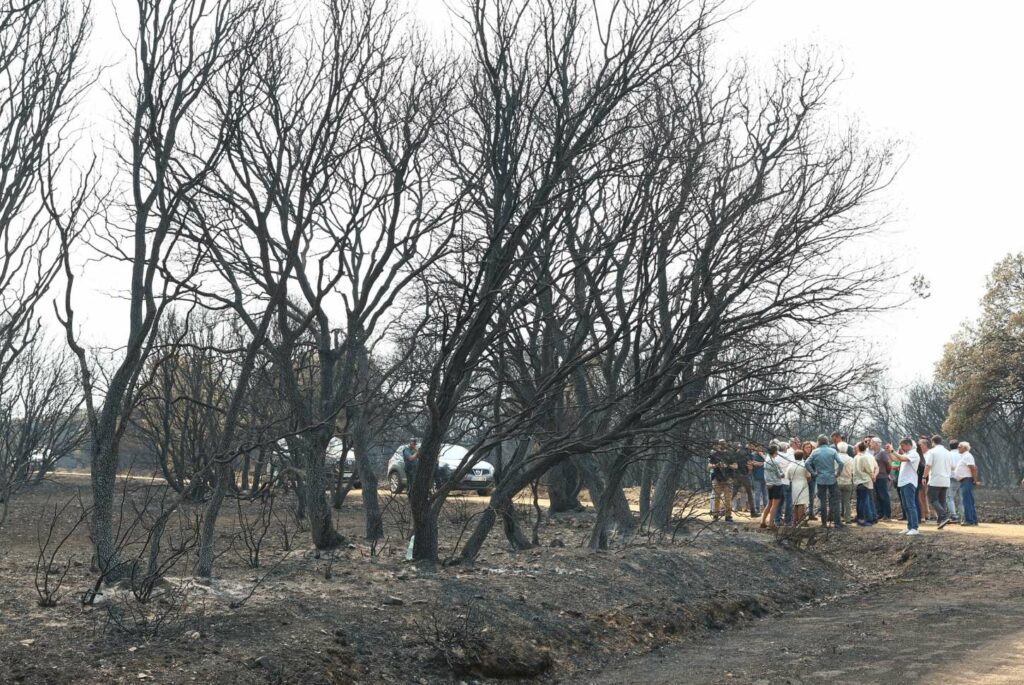 pedrosanchez visita caceres.jpg 13