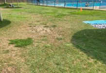 El PSOE de Tomelloso denuncia la dejadez del césped de la piscina municipal