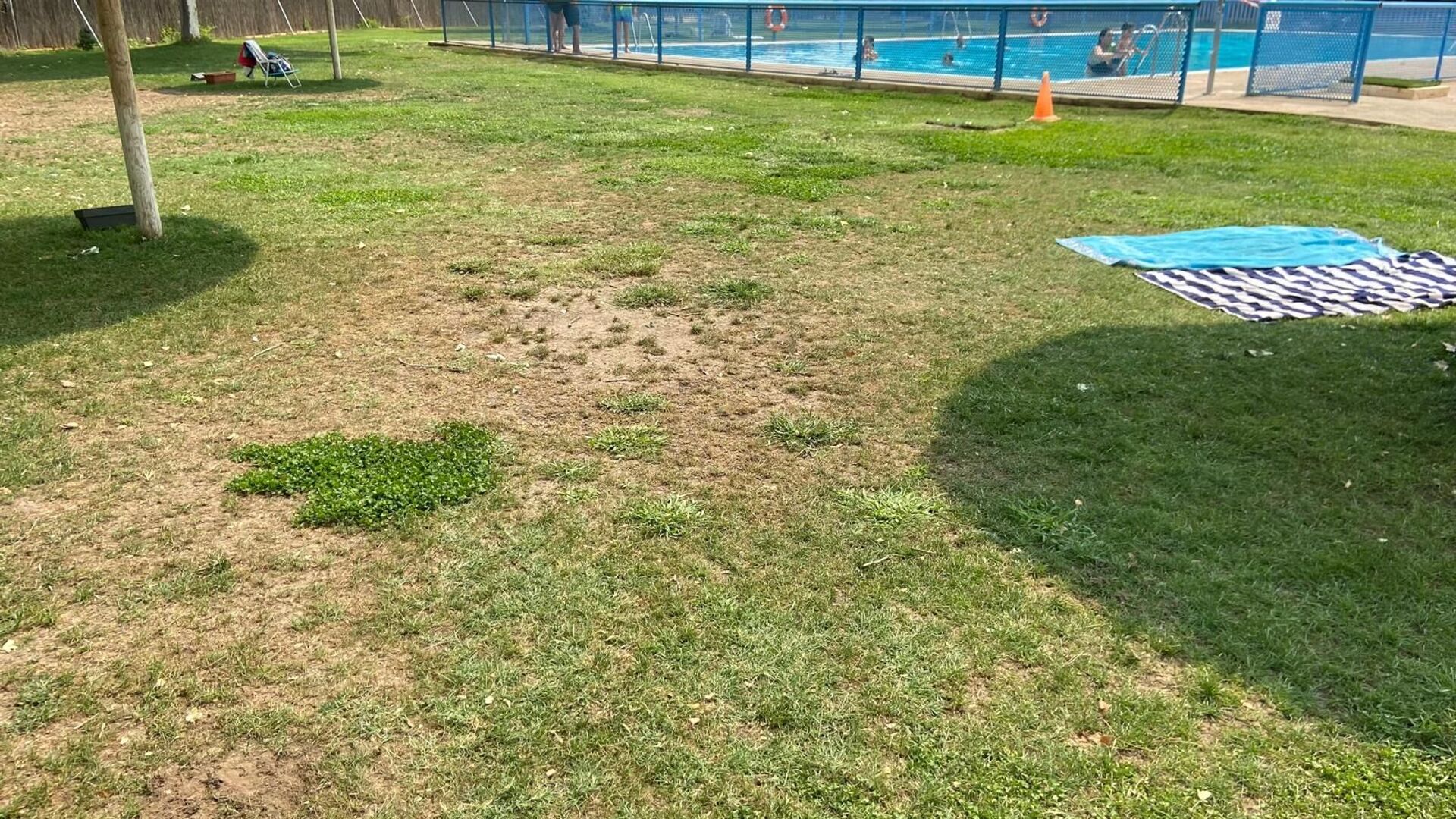 El PSOE de Tomelloso denuncia la dejadez del césped de la piscina municipal