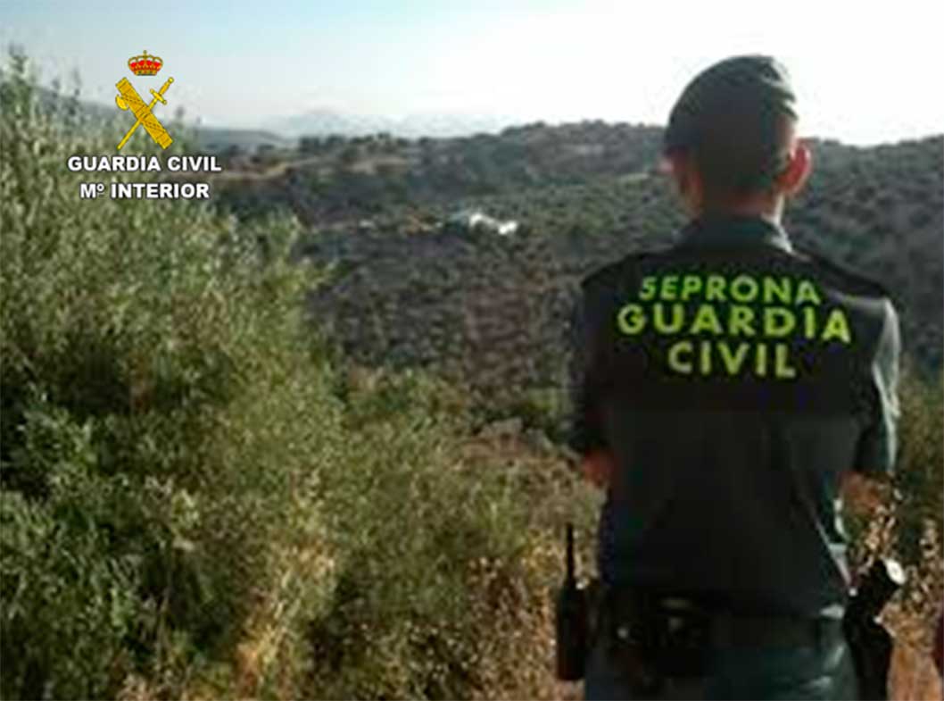 El SEPRONA de Ciudad Real alcanza la cifra de 36 personas investigadas durante el primer semestre