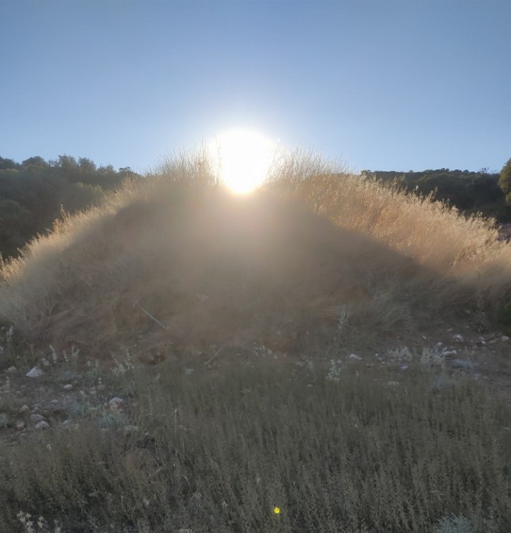 SUEÑOS SOSEGANDO EN EL  CAMPOSANTO