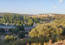 Sueños sosegando en el camposanto