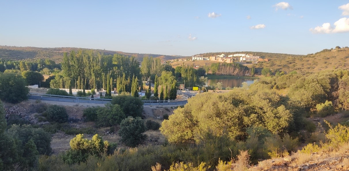 sueños sosegando en camposanto