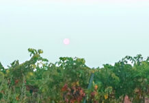 El tiempo en Castilla-La Mancha para hoy 20 de Agosto: altas temperaturas y posibles tormentas