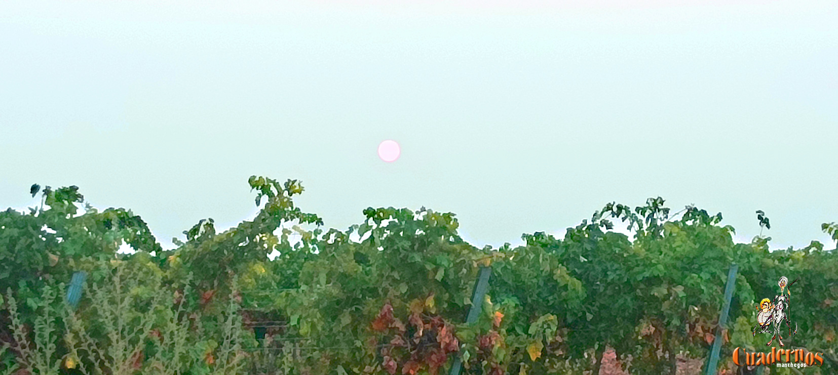 El tiempo en Castilla-La Mancha para hoy 20 de Agosto: altas temperaturas y posibles tormentas