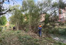 La Confederación Hidrográfica del Tajo comienza los trabajos de conservación y mantenimiento de cauces en la provincia de Guadalajara enmarcados en el Convenio entre Diputación de Guadalajara y la CHT