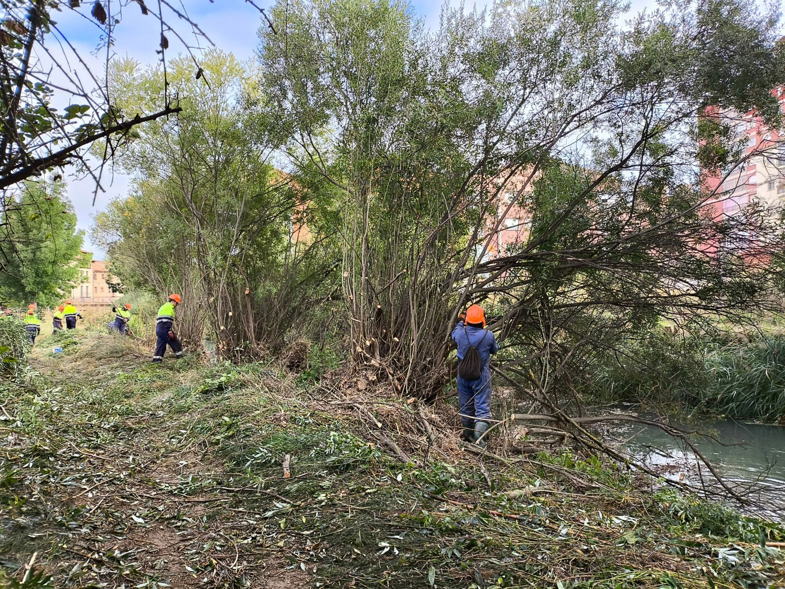 La Confederación Hidrográfica del Tajo comienza los trabajos de conservación y mantenimiento de cauces en la provincia de Guadalajara enmarcados en el Convenio entre Diputación de Guadalajara y la CHT