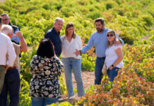 Agudo denuncia la persecución al campo y exige soluciones urgentes para salvar la vendimia y proteger la economía vitivinícola