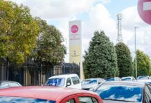 El Ayuntamiento de Tomelloso lleva a cabo el programa de Apoyo Activo al Empleo