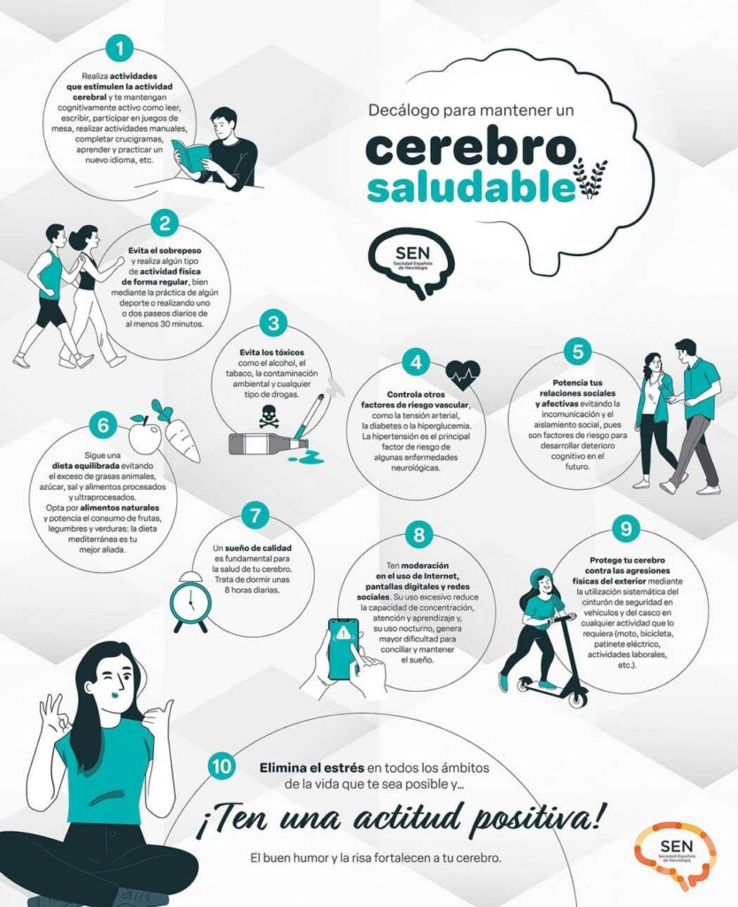 autobus del cerebro albacete 3