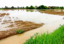 El Ministerio de Agricultura, Pesca y Alimentación publica el listado de 2.436 agricultores y ganaderos afectados por la dana que recibirán la ayuda extraordinaria de 9,8 millones de euros