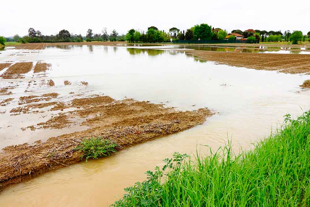 El Ministerio de Agricultura, Pesca y Alimentación publica el listado de 2.436 agricultores y ganaderos afectados por la dana que recibirán la ayuda extraordinaria de 9,8 millones de euros