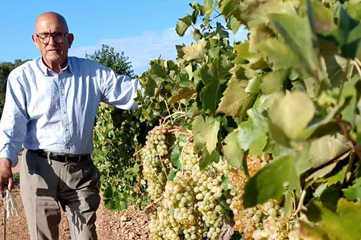 Cambio de horario en la XII Fiesta de la Vendimia Tradicional 2025