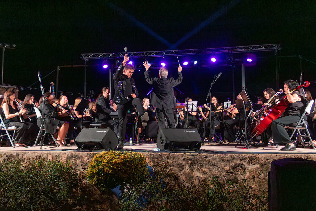 concierto simfonico preferia argamasilla de alba 12