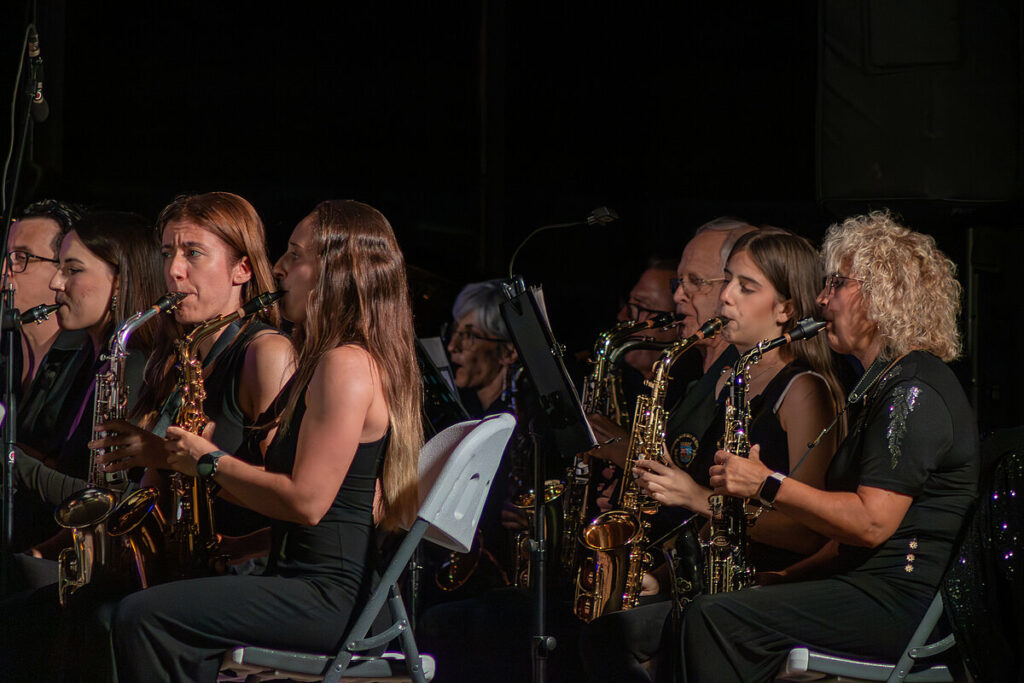 concierto simfonico preferia argamasilla de alba 8