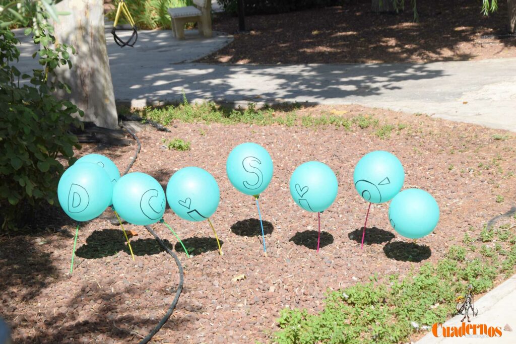 conmemoracion dia mundial alzheimer tomelloso 06