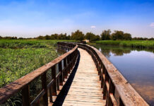 Convocadas las ayudas para los ayuntamientos de las áreas de influencia socioeconómica de Cabañeros y Las Tablas de Daimiel por importe de 114.000 euros