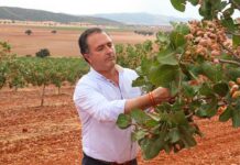 David Moreno denuncia el desmantelamiento de la PAC y exige una política agraria fuerte que defienda a los agricultores y ganaderos