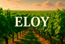 Si tu nombre es Eloy ¡No te lo pierdas!