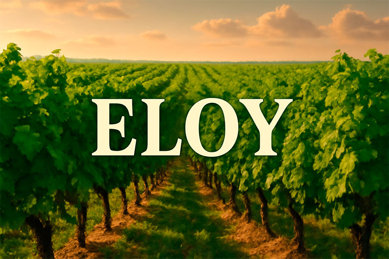 Eloy