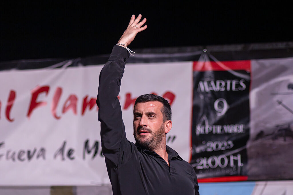 festivalflamencoargamasilla 4