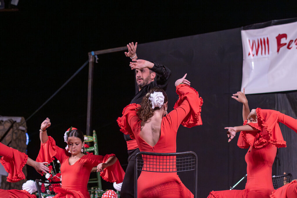 festivalflamencoargamasilla 6