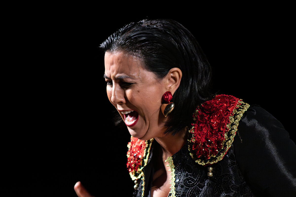 Argamasilla de Alba vivió una noche mágica con el XVIII Festival Flamenco “Cueva de Medrano”