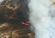 77 efectivos y 19 vehículos movilizados para controlar un incendio forestal en Puertollano