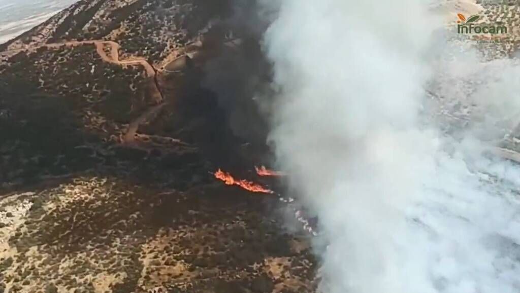 77 efectivos y 19 vehículos movilizados para controlar un incendio forestal en Puertollano