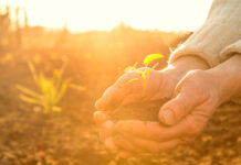 Celebrar la longevidad con derechos