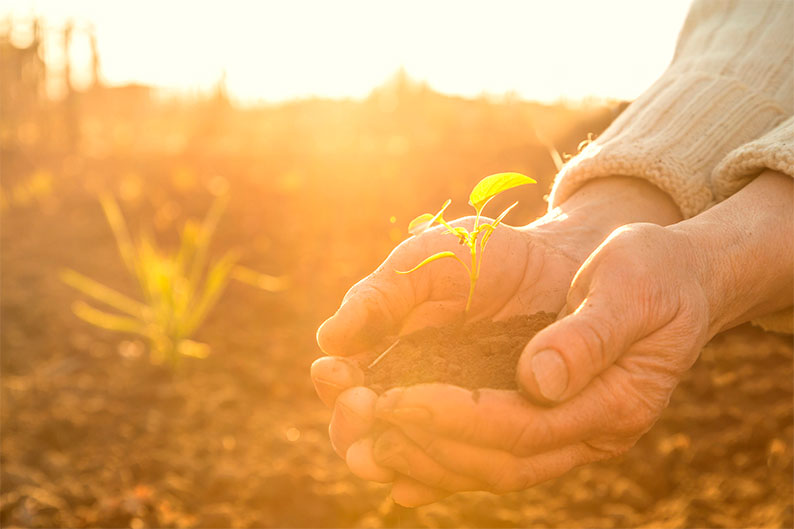 Celebrar la longevidad con derechos