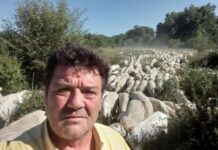 La Unión de Agricultores y Ganaderos de Castilla- La Mancha reclama medidas para frenar el virus de la lengua azul