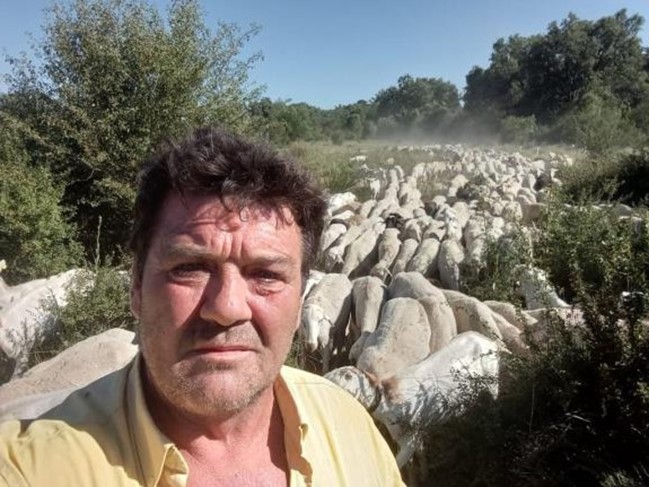 La Unión de Agricultores y Ganaderos de Castilla- La Mancha reclama medidas para frenar el virus de la lengua azul