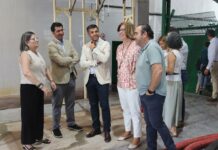 Castilla-La Mancha impulsa la modernización del sector vitivinícola para aumentar su competitividad internacional y rentabilidad