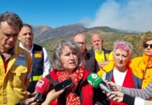El Gobierno de CLM decreta el nivel 2 de emergencia en el incendio de Peñalba de la Sierra, evacúa dos localidades y solicita la intervención de la UME