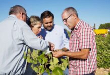 Núñez anuncia la presentación en las Cortes Regionales de una Comisión de Estudio no permanente para el sector vitivinícola de la región