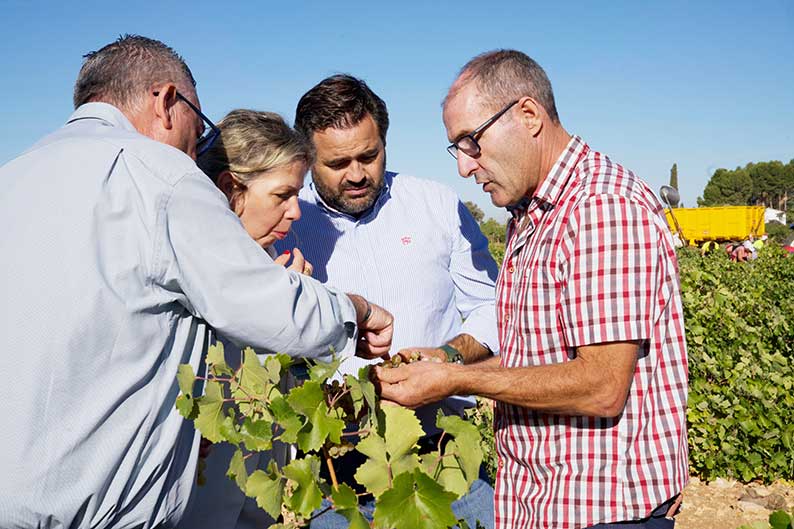 Núñez anuncia la presentación en las Cortes Regionales de una Comisión de Estudio no permanente para el sector vitivinícola de la región