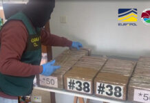 Intervenidas más de dos toneladas de cocaína con 19 detenidos en el marco de la operación «Olimpia»