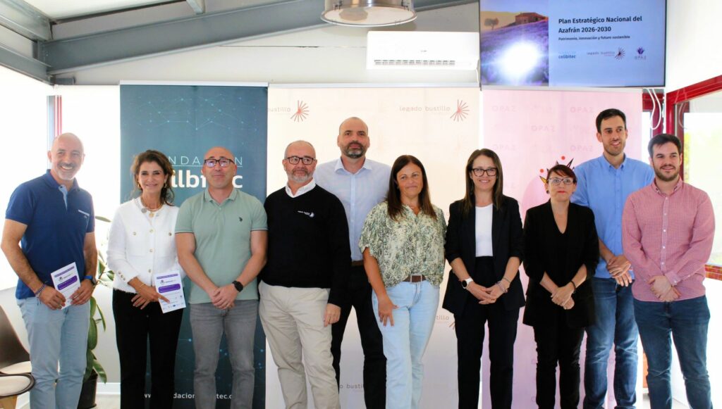 planestrategicoazafran 3