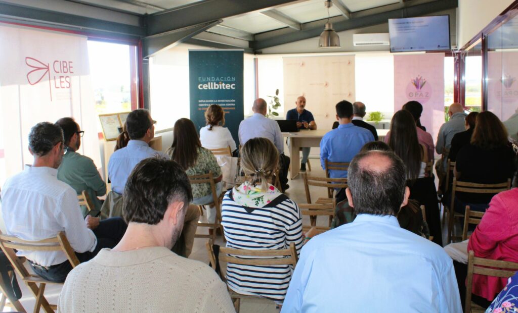 planestrategicoazafran 4