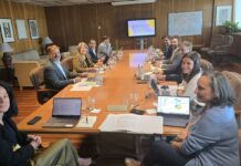 El Gobierno de CLM consigue que la planificación eléctrica a 2030 refleje su apuesta por acelerar la transición energética en base a las renovables