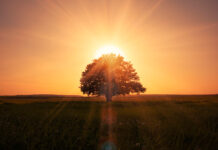 El tiempo en Castilla-La Mancha hoy, 15 de septiembre: calor, cielos despejados y nieblas matinales