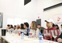 Los vinos DO La Mancha y su comunicación en tiempos de cambio