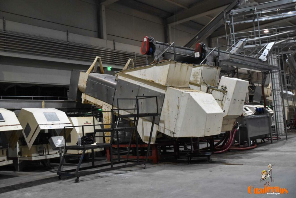 visita vendimia cooperativa virgen vinas 09