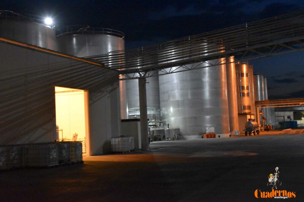 visita vendimia cooperativa virgen vinas 10