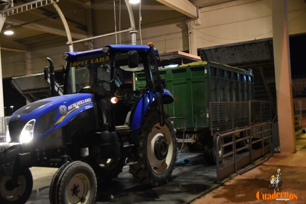 visita vendimia cooperativa virgen vinas 11