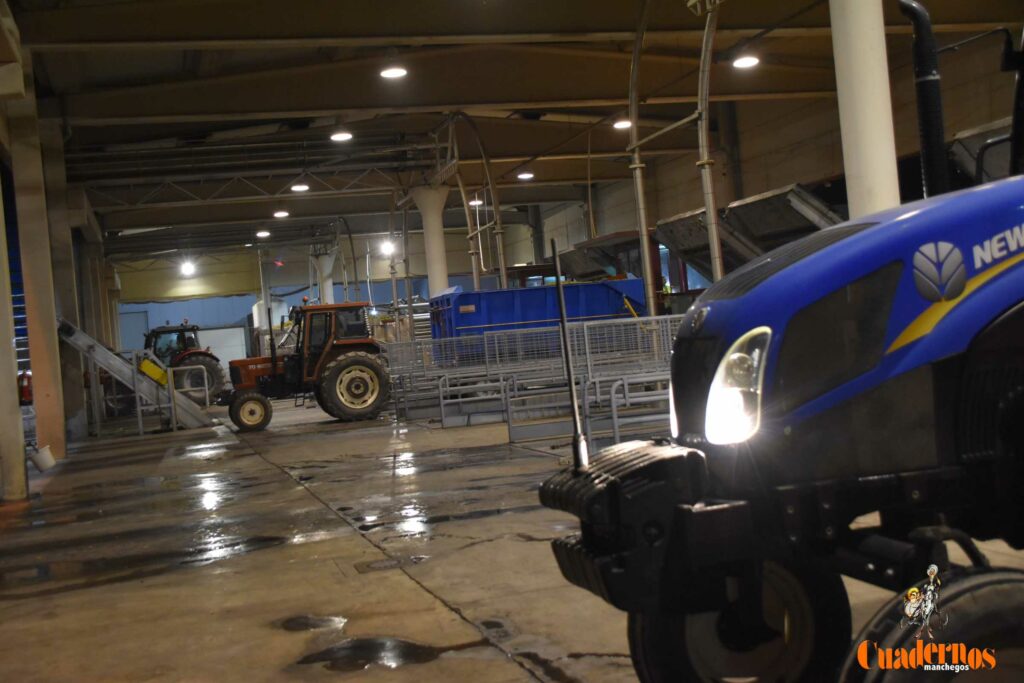 visita vendimia cooperativa virgen vinas 12