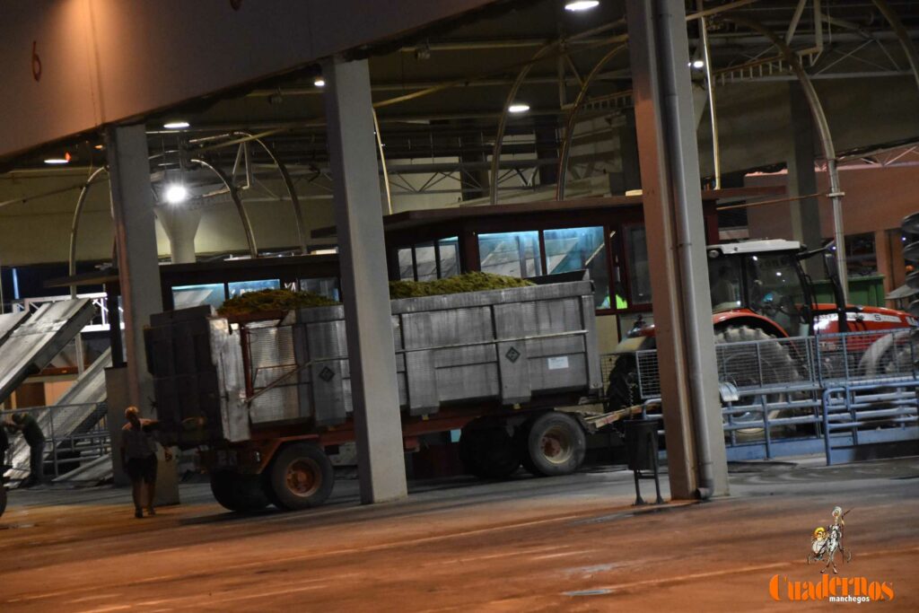 visita vendimia cooperativa virgen vinas 17