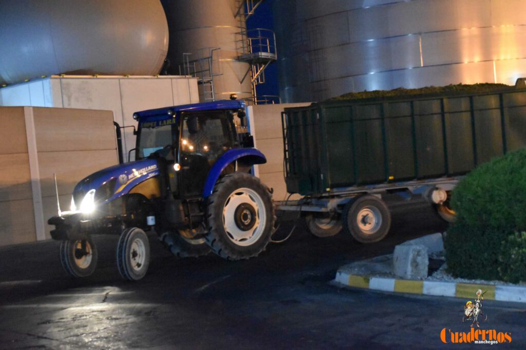 visita vendimia cooperativa virgen vinas 18