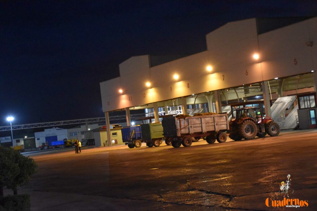 visita vendimia cooperativa virgen vinas 19